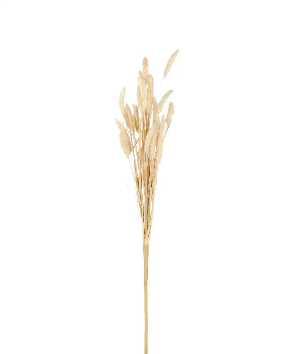 Konstväxt kaninsvansgräs 75 cm - bild 2