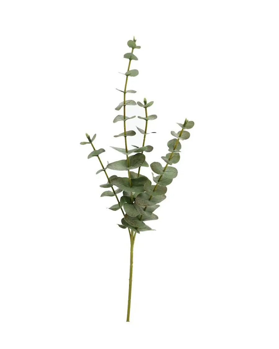 Konstväxt eucalyptus 59 cm – naturtrogen dekoration - bild 4