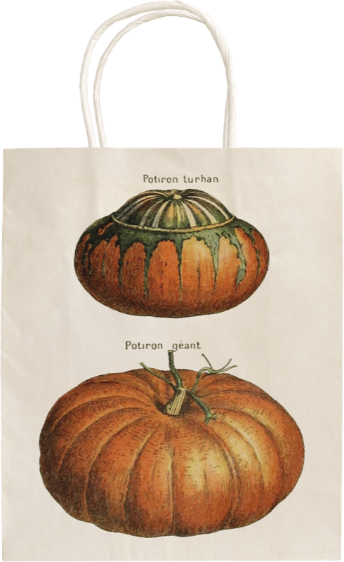 Presentpåse - pumpor