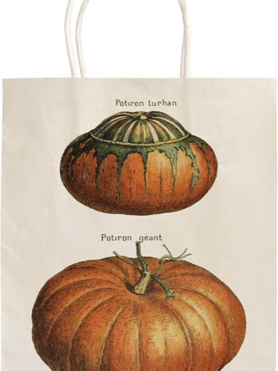 Presentpåse - pumpor