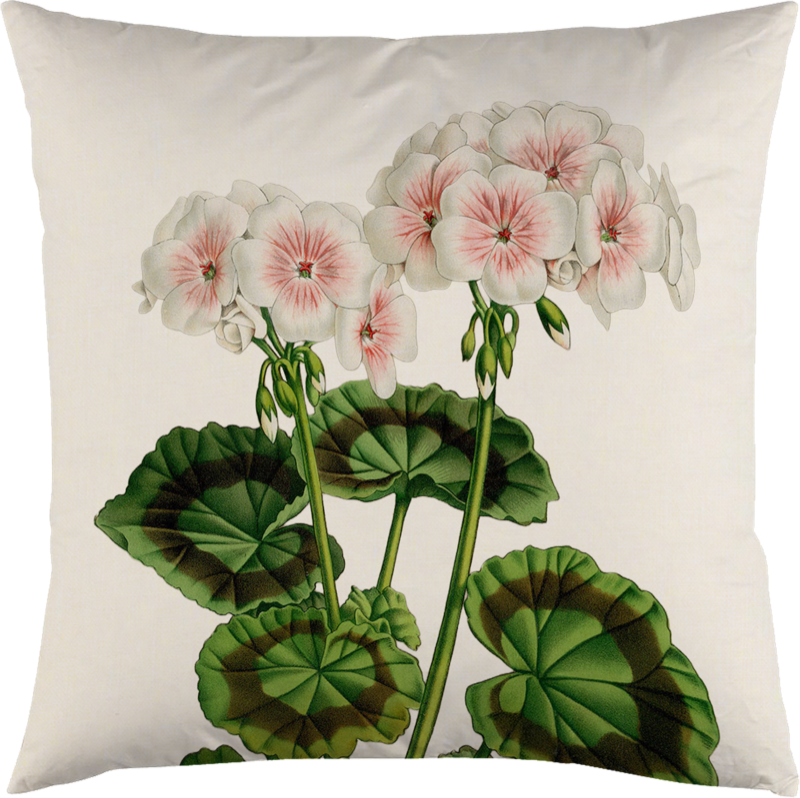 Kuddfodral med pelargontryck – 50x50 cm