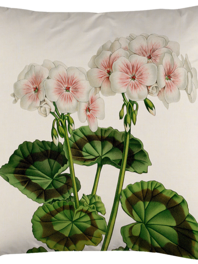 Kuddfodral med pelargontryck – 50x50 cm