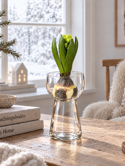 Hyacintvas i klart glas – 15 cm