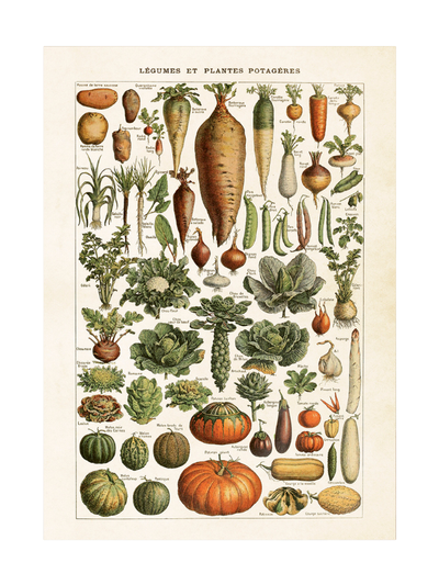 Poster - grönsaker, 50x70cm
